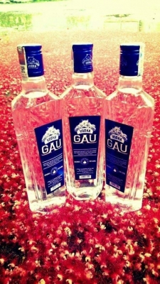 Lợi ích sức khỏe từ Vodka